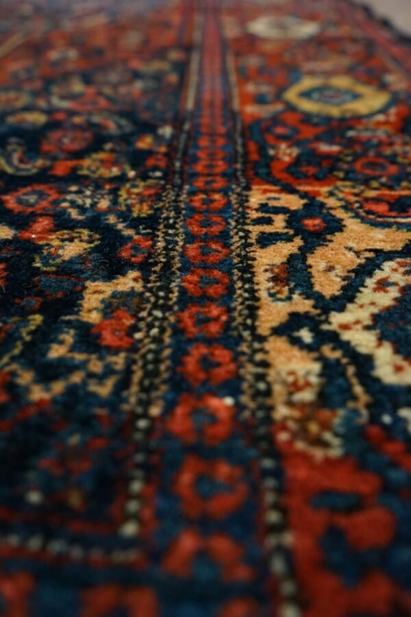 Carpet 5.0
